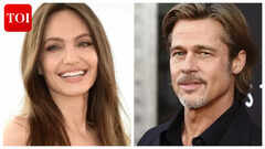Brad scores win over Angelina in winery dispute