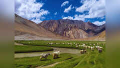 Meet the cutest &lsquo;toll collectors&rsquo; in the Himalayas and why Zanskar deserves a spot on every traveller&rsquo;s bucket list