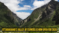 Uttarakhand's Valley of Flowers is now open for 2026: Everything travellers need to know before visiting