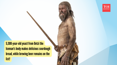 5,300-year-old yeast from Oetzi the Iceman's body makes delicious sourdough bread, while brewing beer remains on the list!