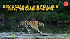 Before you book a safari: 5 famous national parks in India that shut during the monsoon season