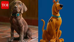 'Scooby-Doo: Origins' first look unveiled; fans react