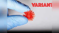 Steps to take amid new COVID variants