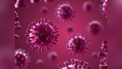 Know what helps H3N2 virus spread