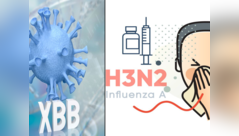 Can COVID, H3N2 infect together?