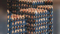 UP govt. isues guidelines for storing eggs