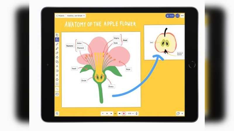 Explain everything download mac download