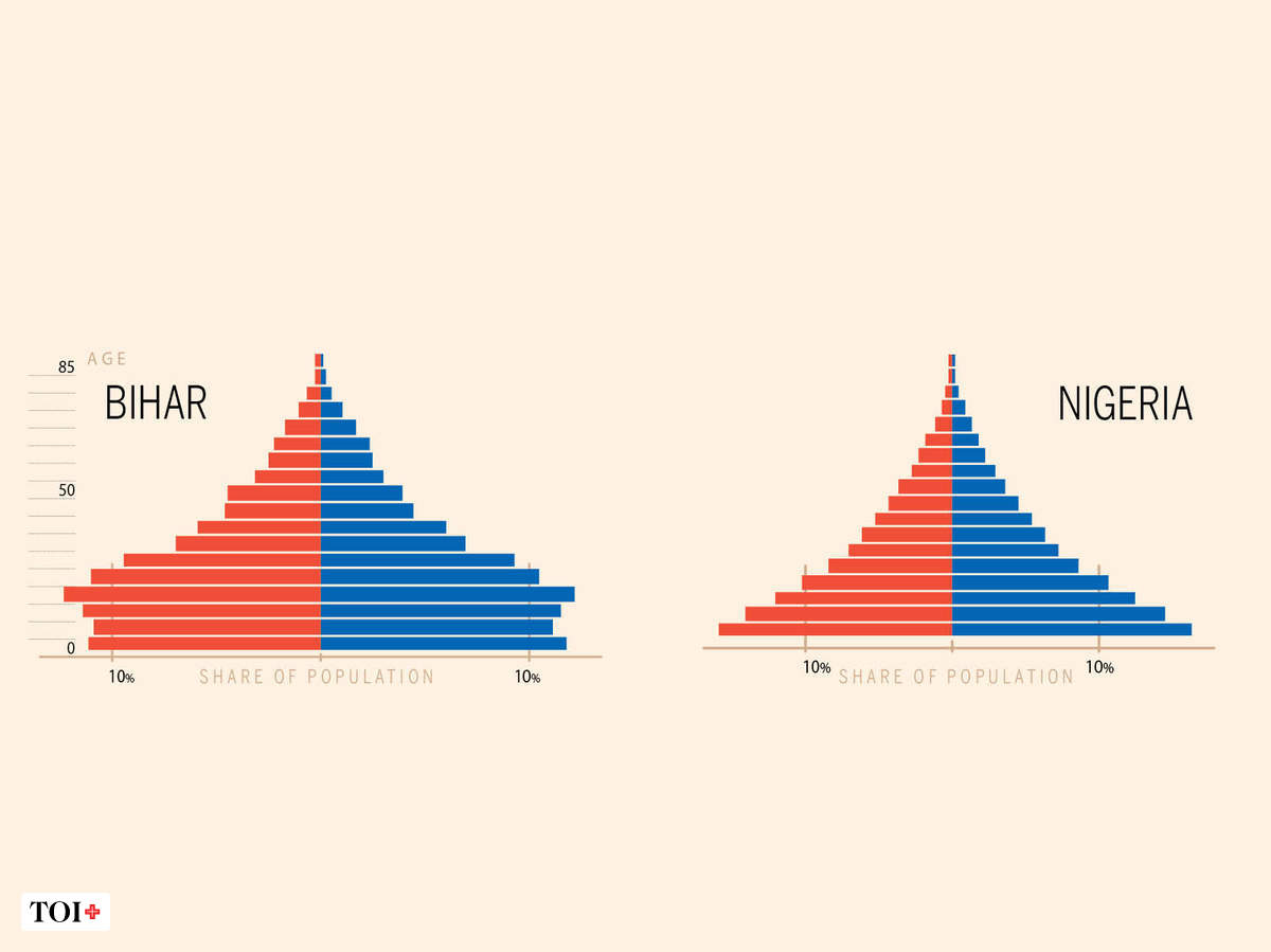 Why Bihar looks like Nigeria, and Kerala like Brazil | India News - Times of  India