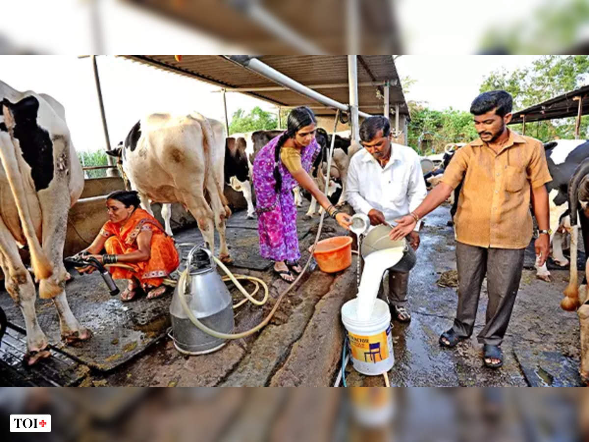 ରାଜ୍ୟରେ ୨୦ ବର୍ଷରେ ୩ ଗୁଣ ବଢ଼ିଛି କ୍ଷୀର ଉତ୍ପାଦନ ଓ ମାଂସ ୬ ଗୁଣ ବୃଦ୍ଧି ...