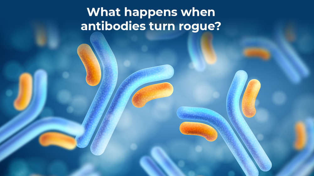 What Happens When Antibodies Turn Rogue Times Of India 