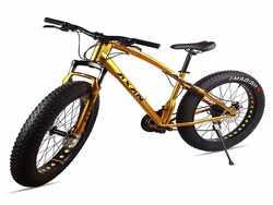Fat bikes 2022: Top gear and non-gear 
