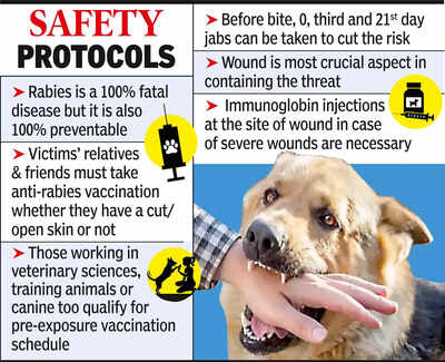 Rabies Dog Bite Injection