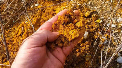 Massive gold reserve found in THIS Indian state - The Times of India