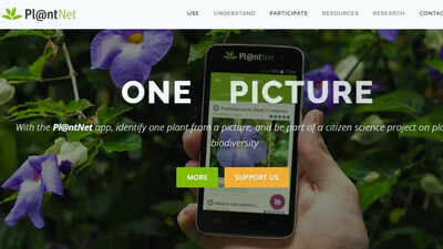 5 best plant identification apps to know what you are growing in your home  garden | - The Times of India