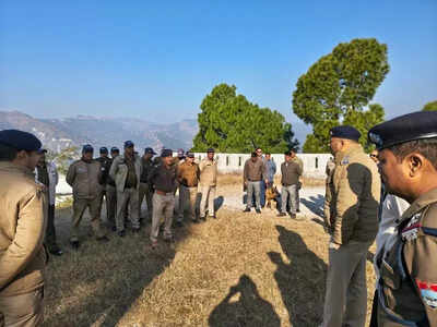 Alert sounded in Uttarakhand's Almora: 161 gelignite sticks, over 20 kg of highly  explosive material recovered | Dehradun News - The Times of India