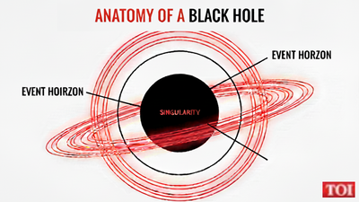 Anatomy Of A Black Hole