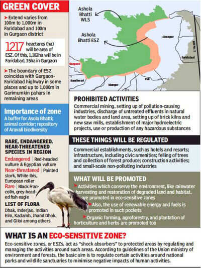 Haryana Government moots buffer zone to save Asola sanctuary | Gurgaon News  - Times of India