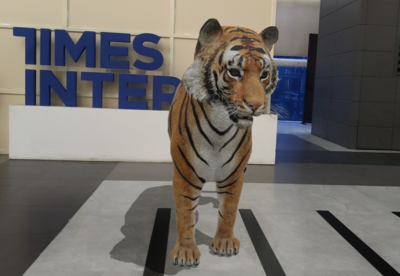 3D TIGER in Google (View AR Tiger 3D in Google Search) 