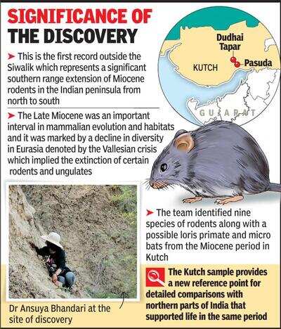 Khoda pahad, nikla 10m years old chuhiya | Ahmedabad News - Times