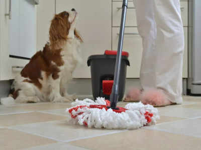 Best floor cleaner for dog pee best sale