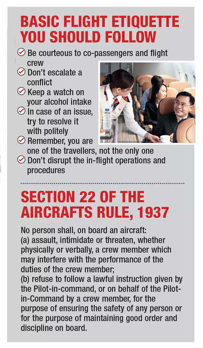 Off Duty Pilot / Flight Attendant - Please Do NOT Disturb | Poster