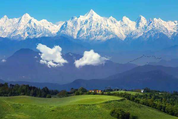 Unveiling the Biodiversity of Binsar Wildlife Sanctuary - Vimarsana News
