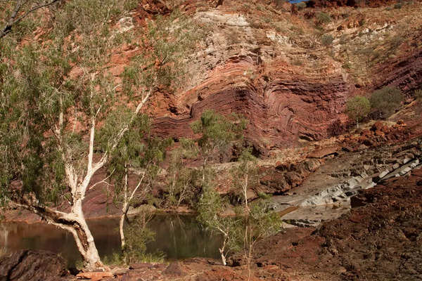 Australia: Journey through Pilbara, the oldest place on Earth - Vimarsana News