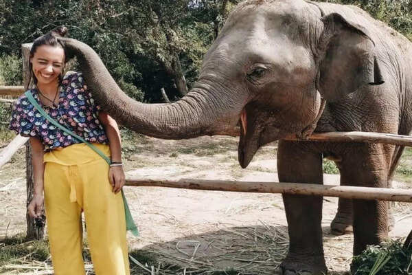 Thailand: Elephant Rescue Sanctuary in Chiang Mai, where compassion meets conservation - Vimarsana News