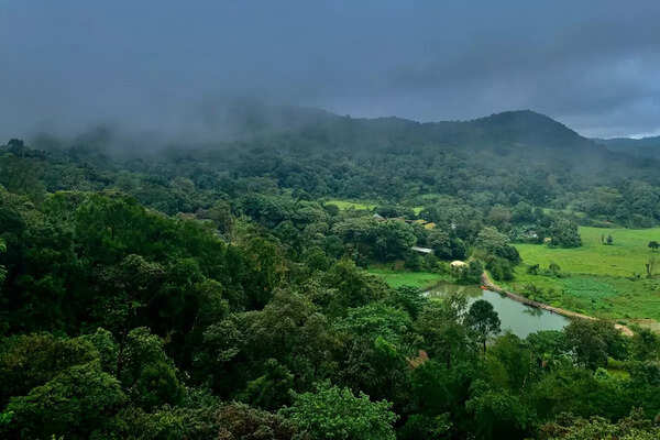 Best hotels in Coorg for your next trip with family - Vimarsana News