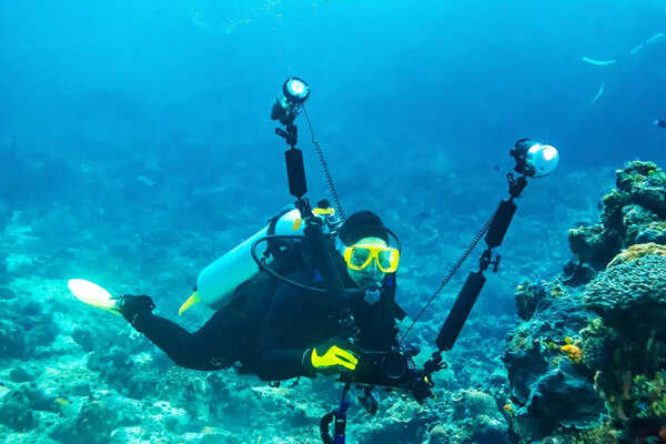 Massive underwater mountain twice the size of Burj Khalifa found in Pacific Ocean - Vimarsana News