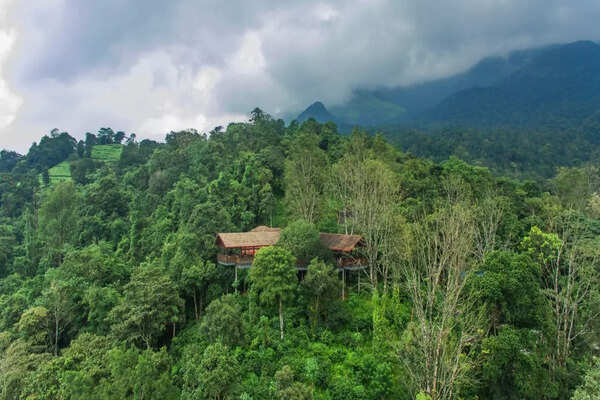 Wayanad Places to Visit: 5 places nature lovers must visit in Wayanad,  Kerala | Times of India Travel