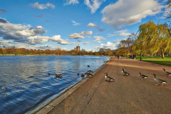 Hyde Park London Times of India Travel