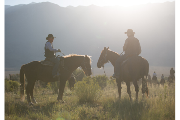 Buy Your Texas Ranger Souvenirs so The Adventure Can Continue After You Go  Home!