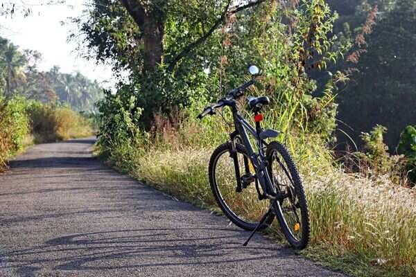 Assam's Manas National Park launches cycle safaris for tourists - Vimarsana News