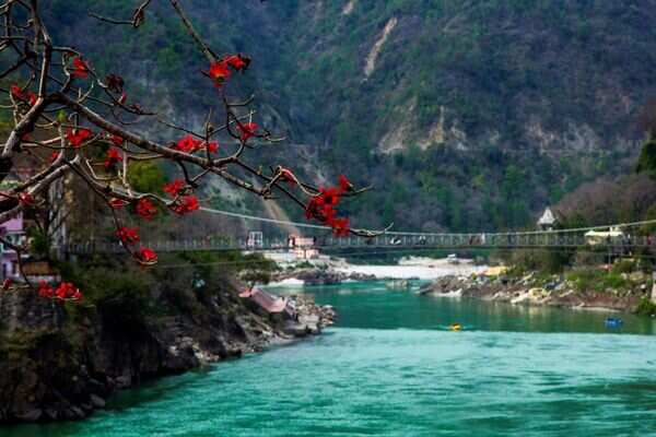 International Yoga Festival kicks off in Rishikesh, to continue till March 7 - Vimarsana News