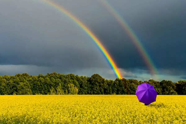 その他 FLAEW Chasing Rainbow width-600,height-400,msid-