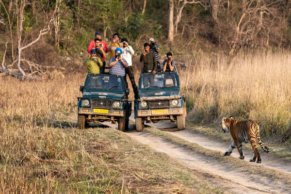 Jim Corbett National Park safari tips Do s and Don ts Times of