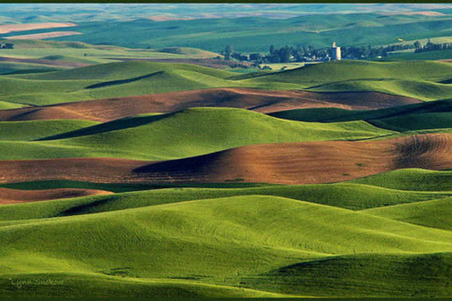 The colourful rolling hills of Palouse, Washington, USA - 20 pictures ...