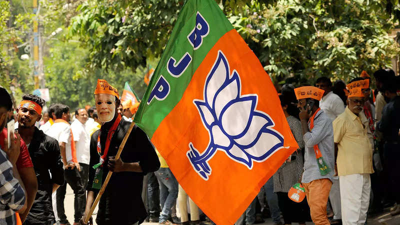 Why Hindutva Alone Won't Win BJP Elections | India News - Times Of India