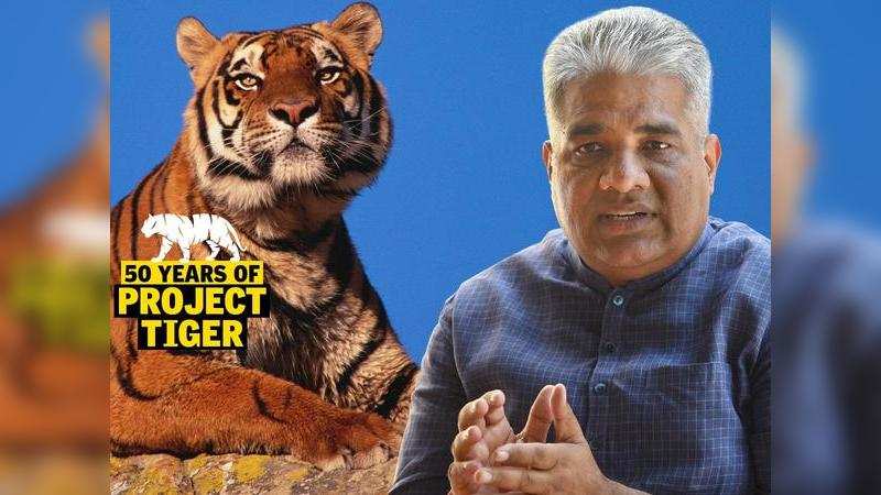 50 years of Project Tiger: Efforts have brought back tigers from brink ...