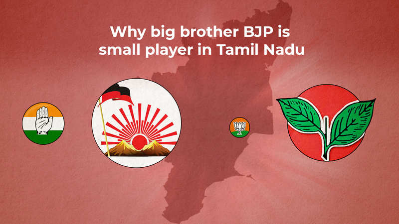 why-big-brother-bjp-is-small-player-in-tamil-nadu-india-news-times