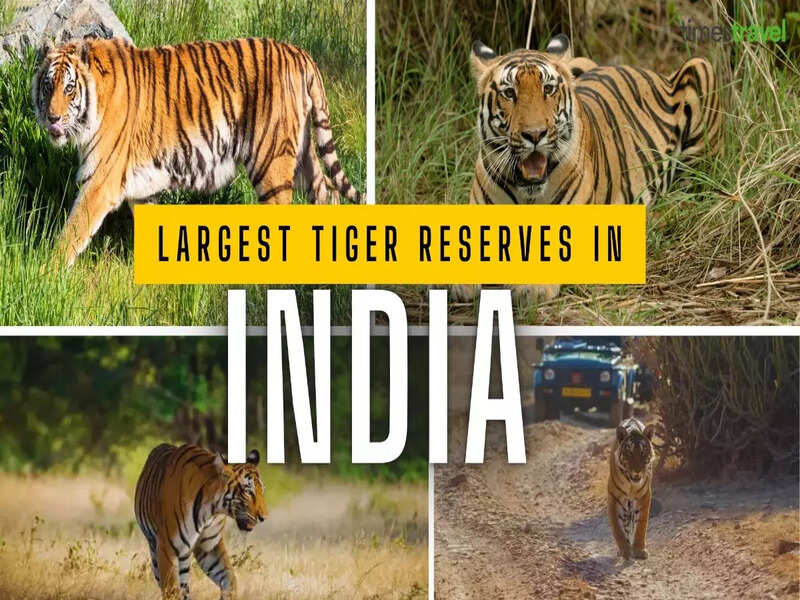 Largest tiger reserves in India