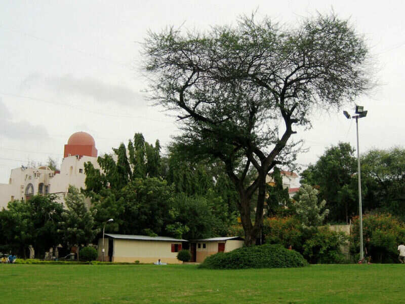 Koregaon Park Pune Get the Detail of Koregaon Park on Times of India