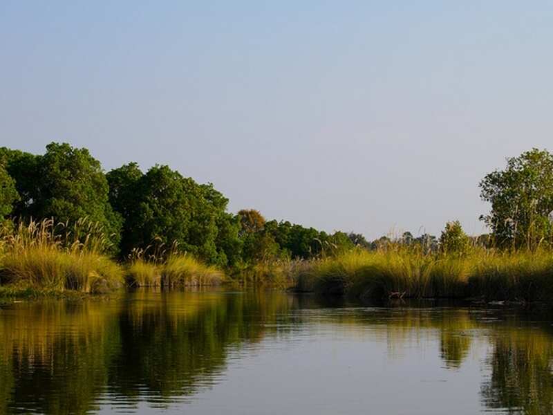 Biodiversity Of The Okavango River Delta Botswana Get