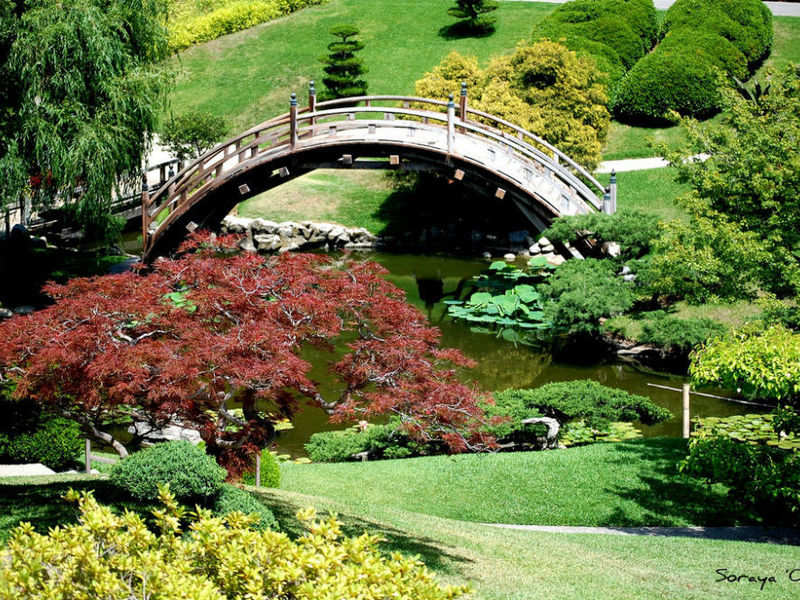 The Huntington Botanical Gardens In Los Angeles Times Of India