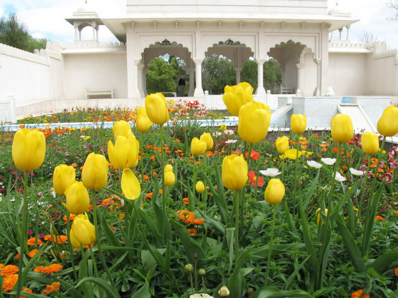 Indian Char Bagh Garden Hamilton Gardens Times Of India Travel