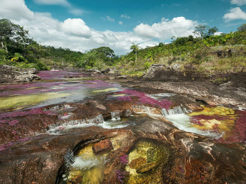 The River of Five Colors: Cano Cristales, Colombia | Times of India Travel