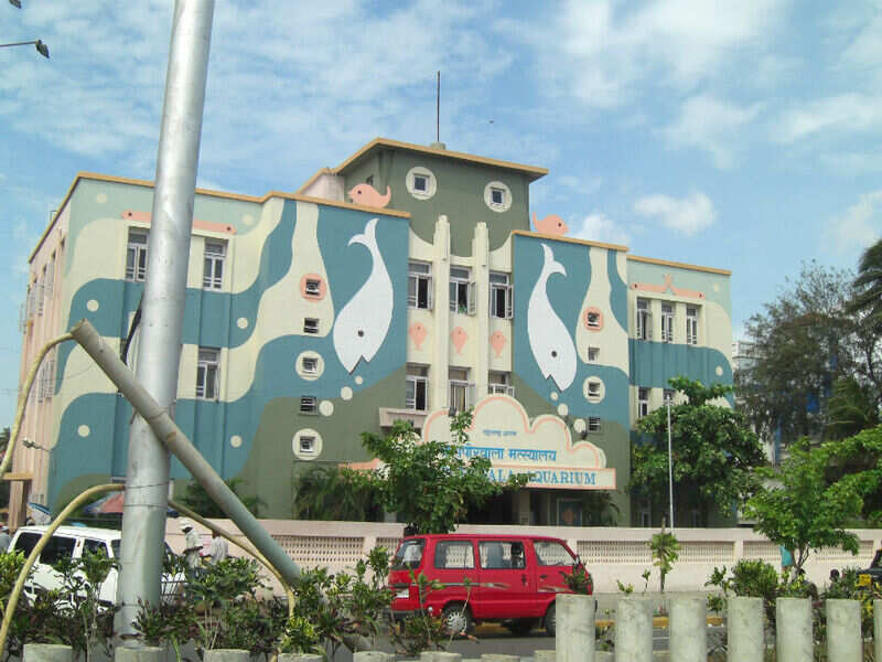 Taraporewala Aquarium Mumbai Get the Detail of Taraporewala Aquarium