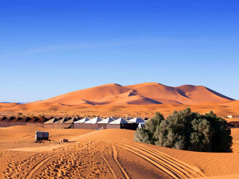 Bedouin Oasis Camp - Ras al-Khaimah: Get the Detail of Bedouin Oasis