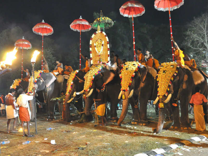 Kerala festivals : Kerala government takes festivals the eco-friendly ...